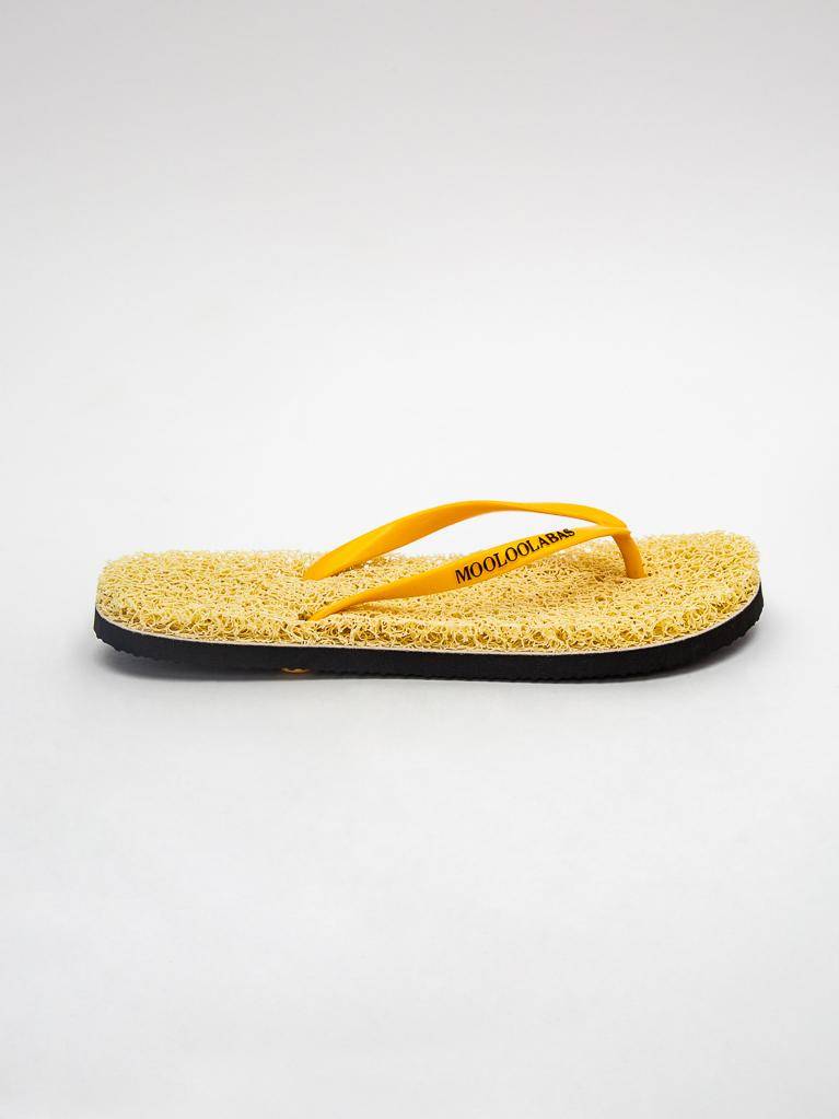 AMELIE - Mooloolabas