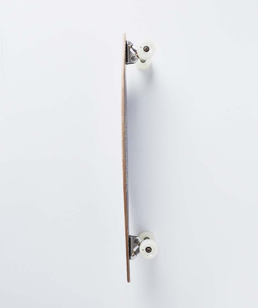 Arbor Fish 37" Longboard Complete