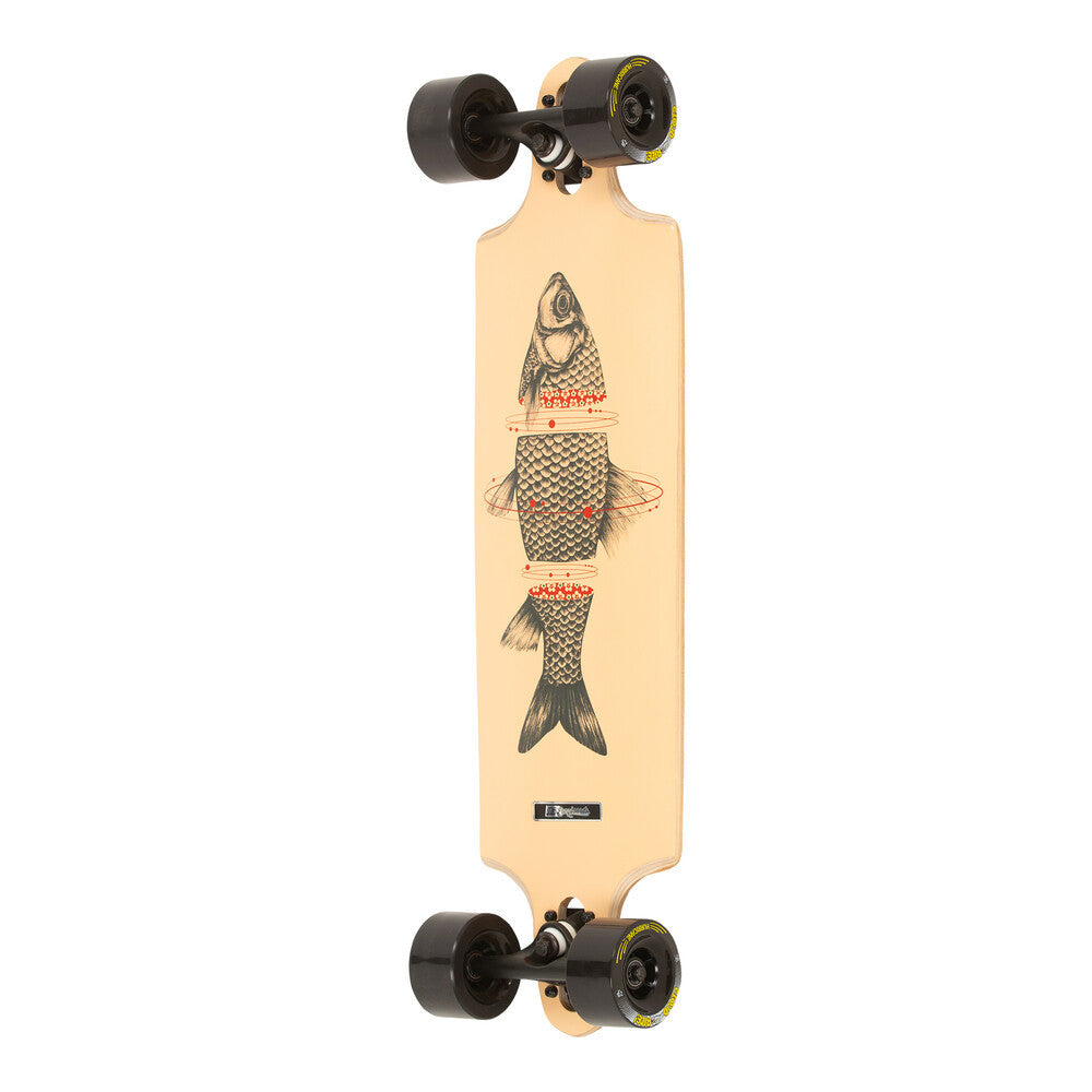 DB Longboards Sashimi (Fisch) 32" Langbrett Komplett