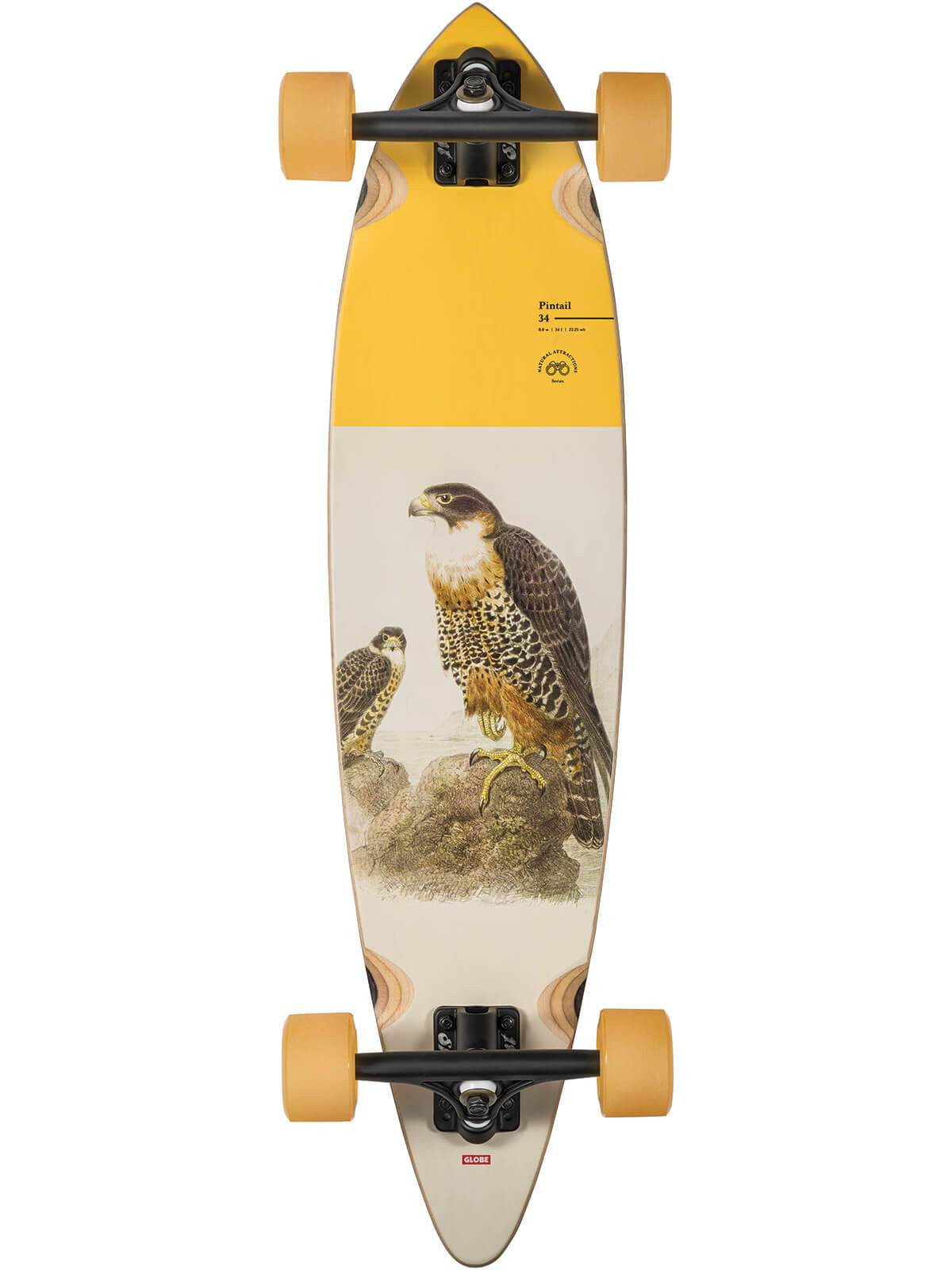 Globe Pintail 34" Longboard Complete - Falcon