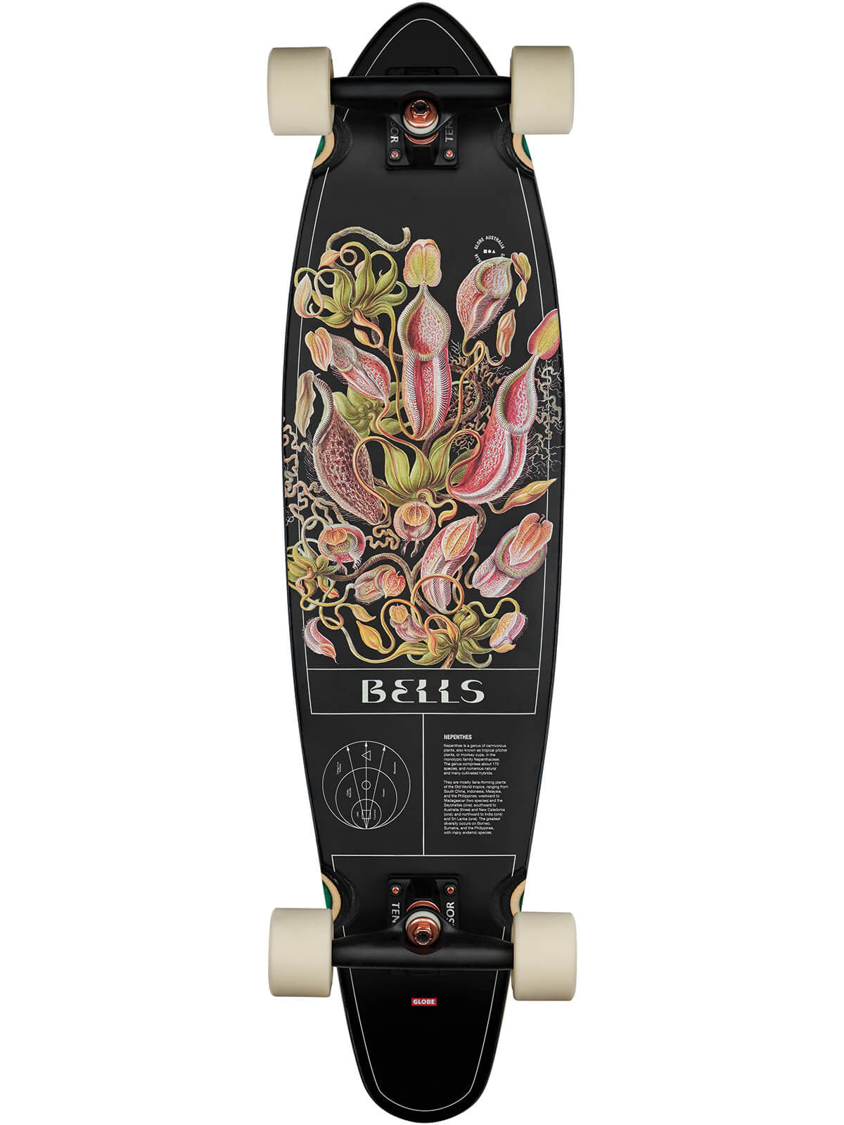 Globe Bells 34 Zoll Longboard Complete