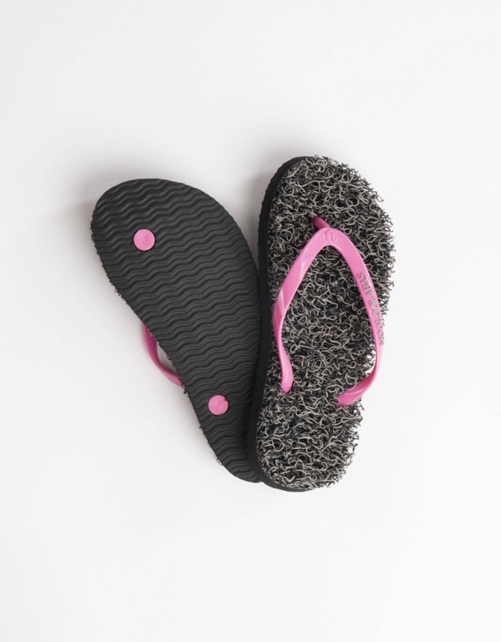 Alinga - Mooloolabas