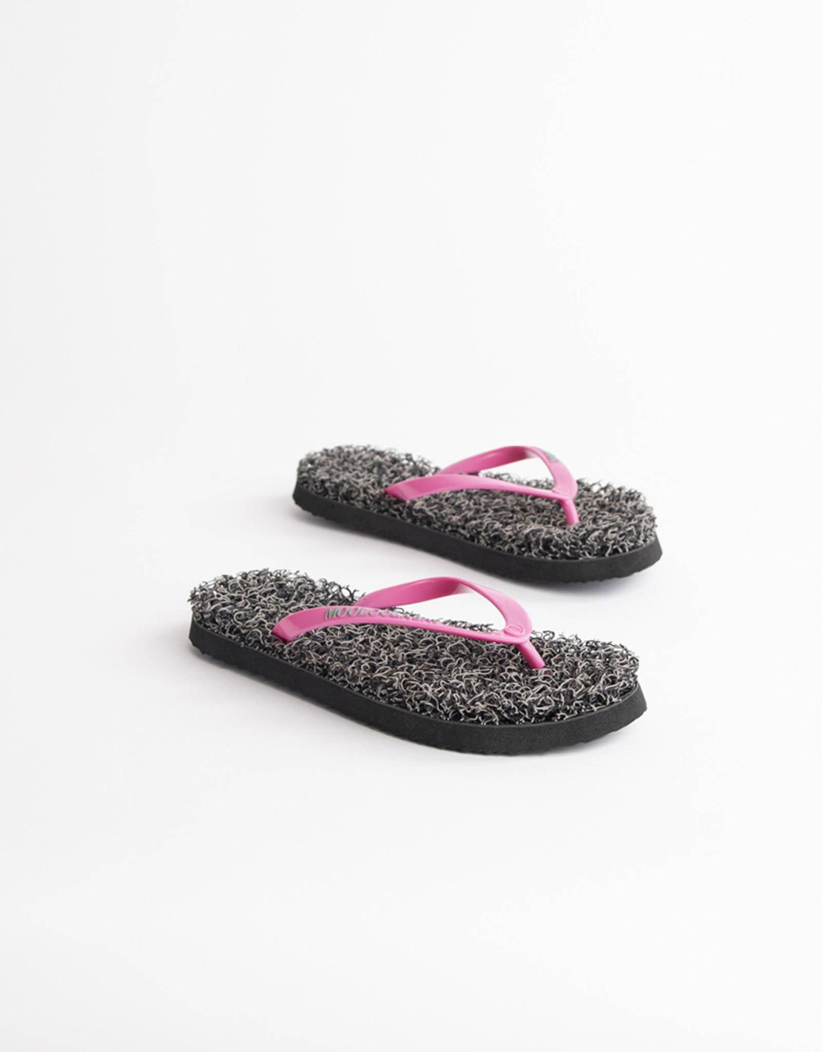 Alinga - Mooloolabas