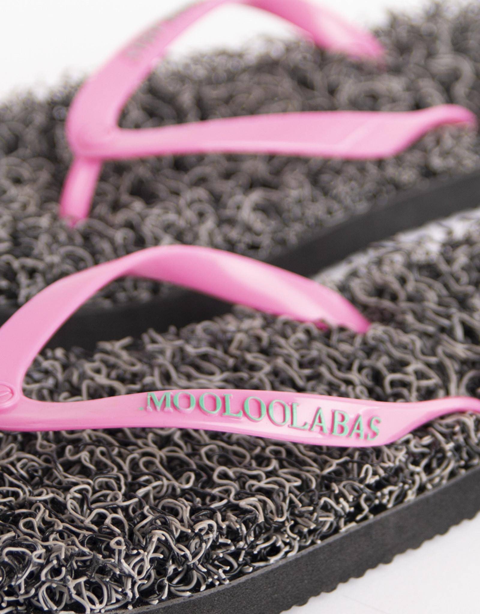 Alinga - Mooloolabas