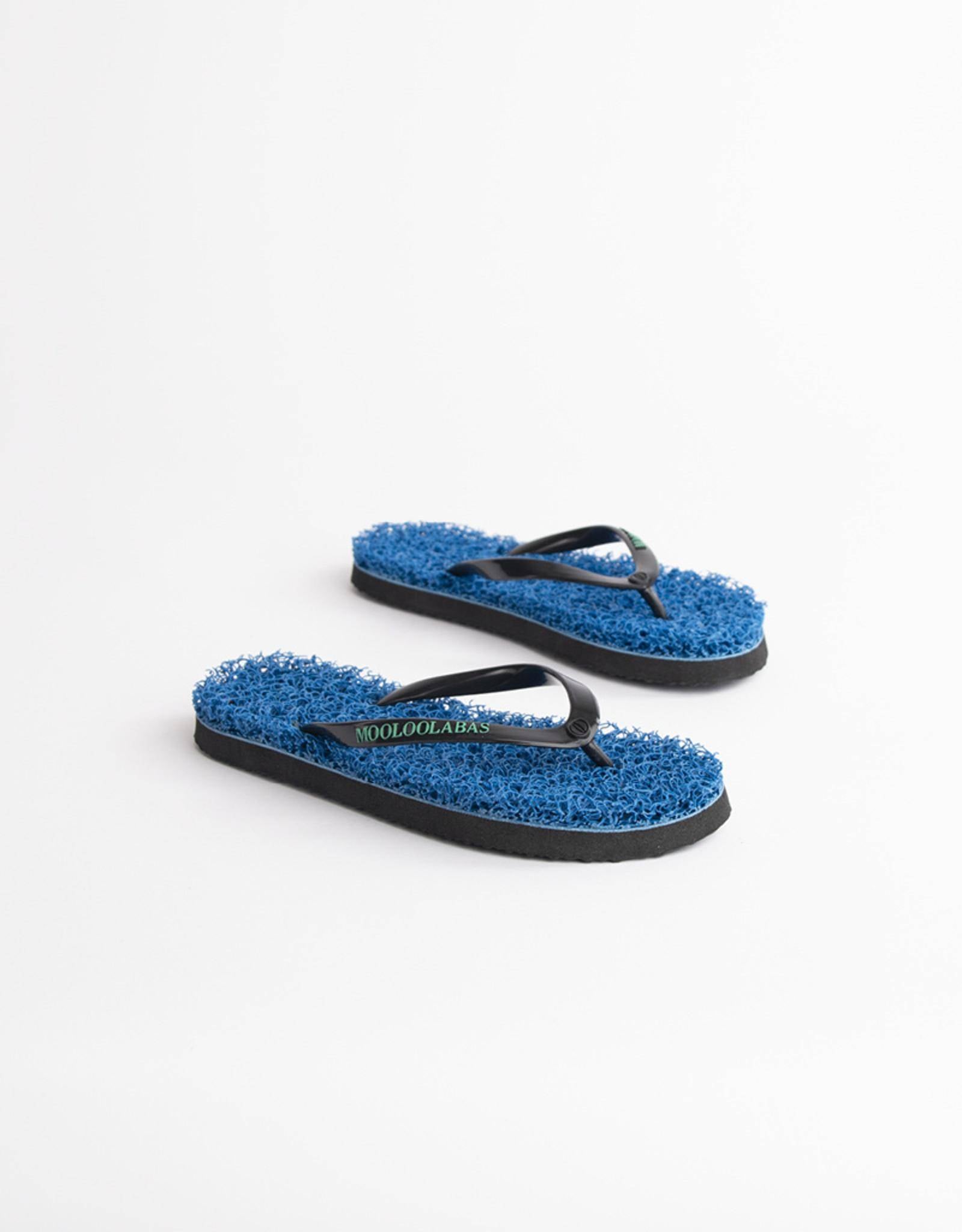 CAMIRA - Mooloolabas