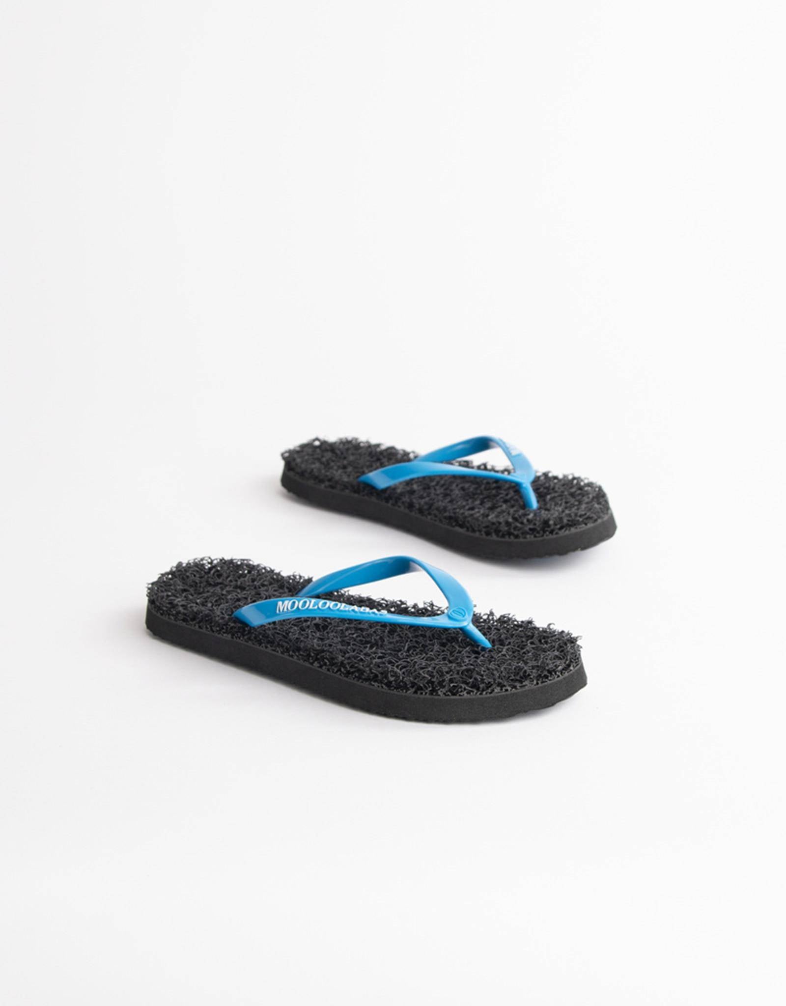 ELONERA - Mooloolabas