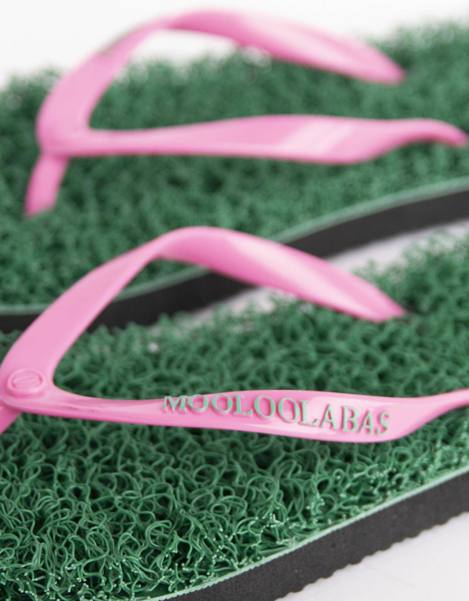 KIRRILY - Mooloolabas