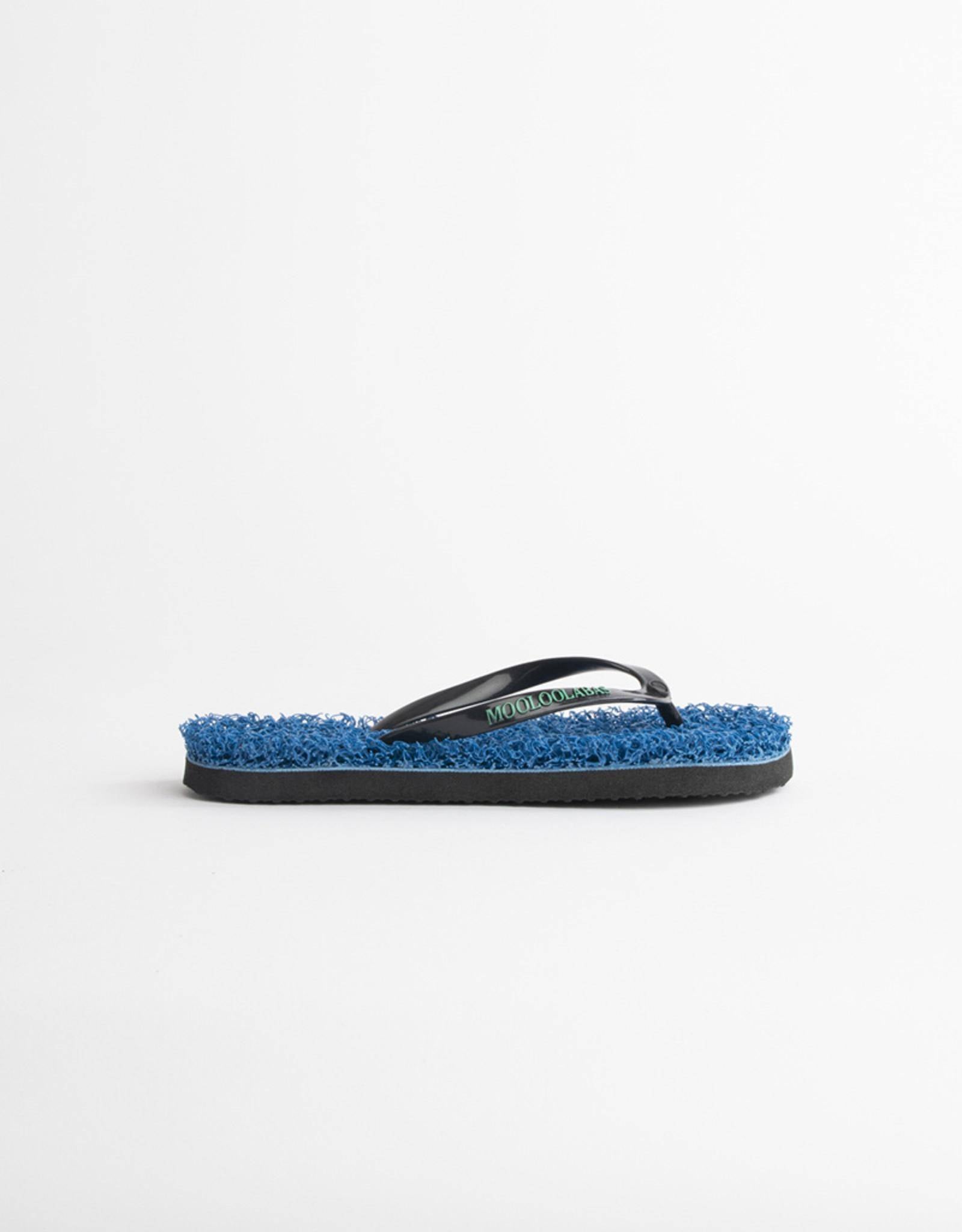 CAMIRA